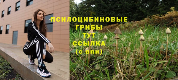 сатива Алексеевка