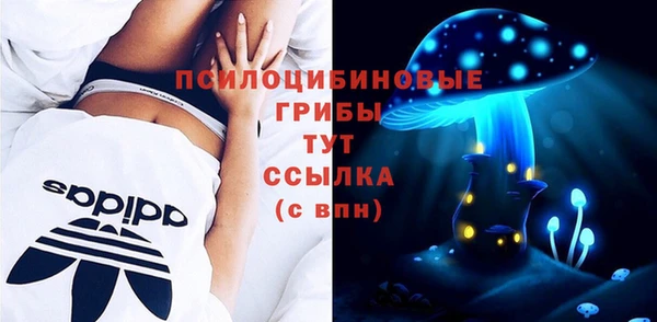 сатива Алексеевка