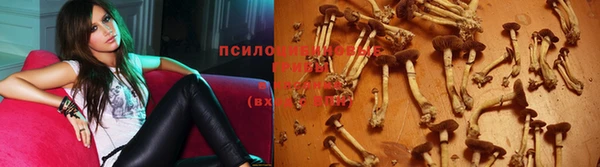 дурь Абинск