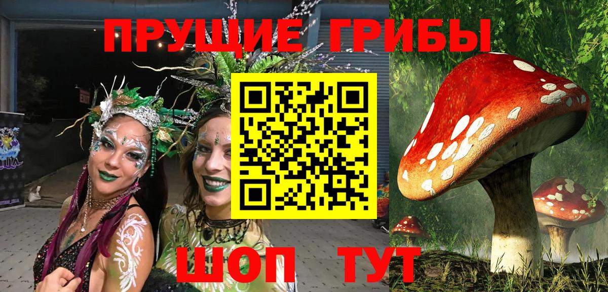 где найти   Вход с VPN  Ступино  Псилоцибиновые грибы мухоморы 