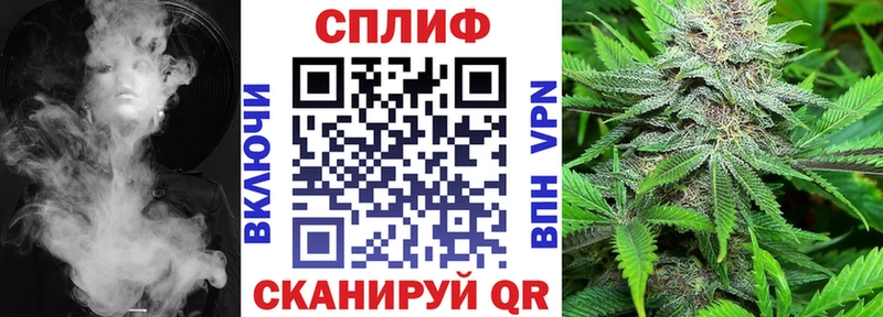 наркошоп Ступино это официальный сайт Бошки марихуана сатива